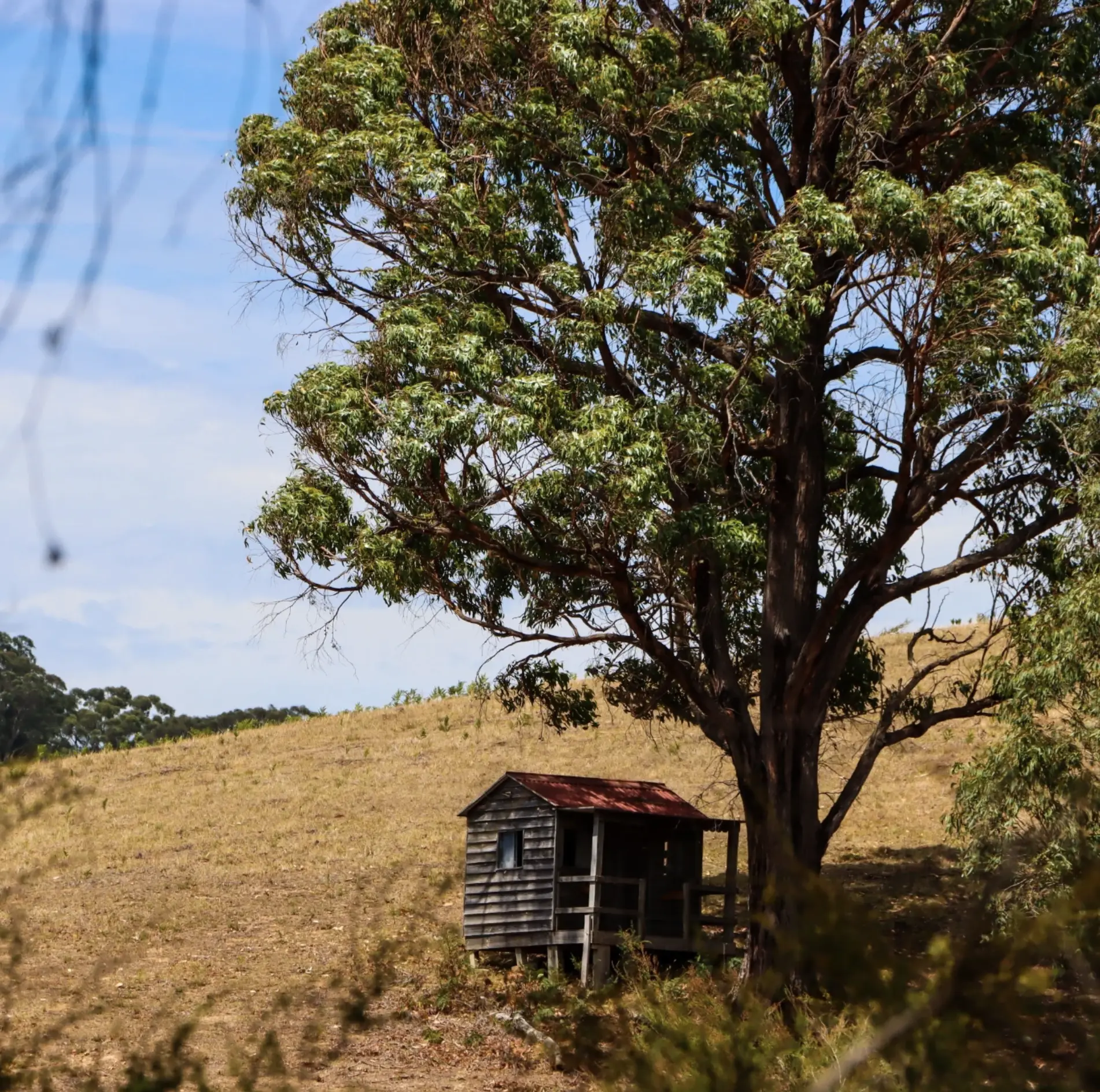 Great Ocean Road hidden gems