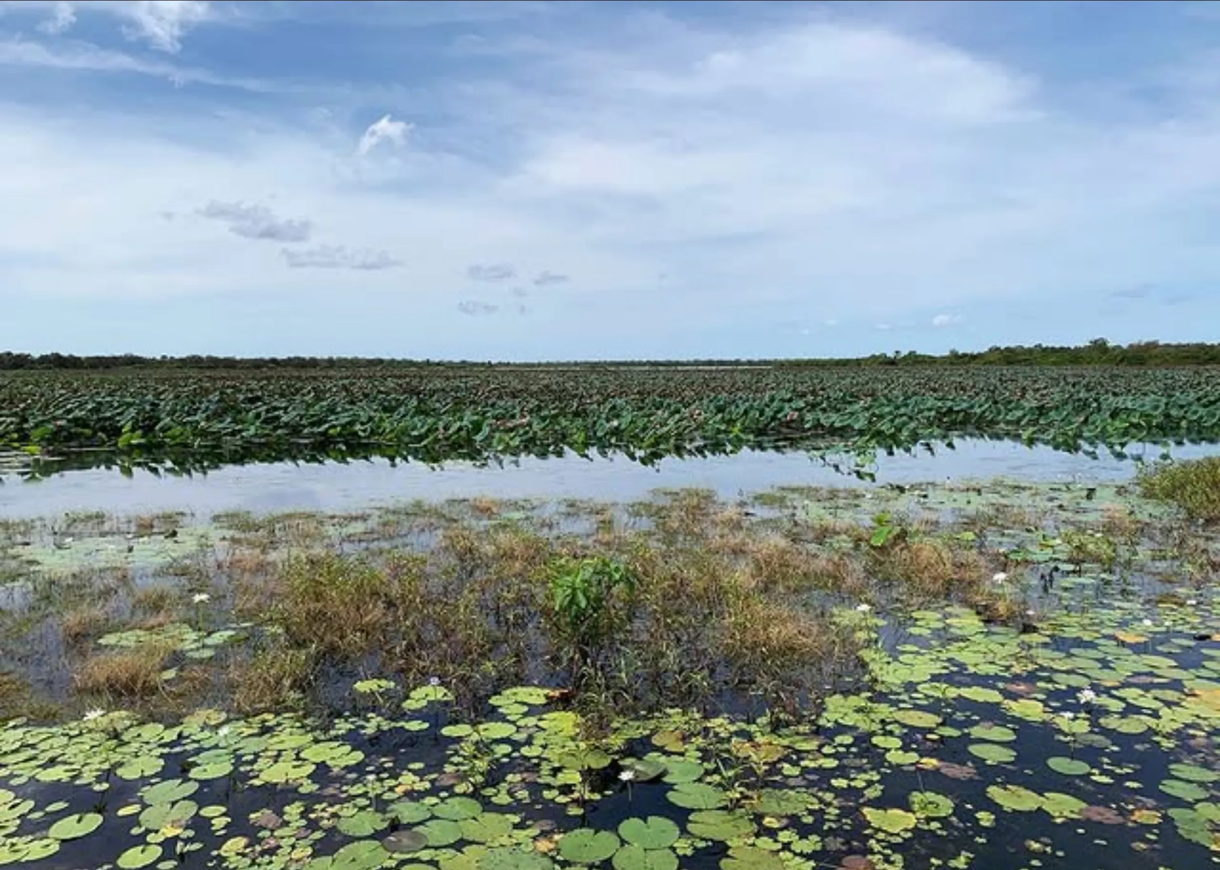Mamukala Wetlands Walk